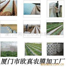 廈門(mén)市同安區(qū)歐真農(nóng)膜加工廠農(nóng)用薄膜產(chǎn)品列表