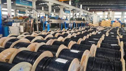 上海浦東電纜集團全球化5G裝備專用電線電纜項目投產(chǎn)