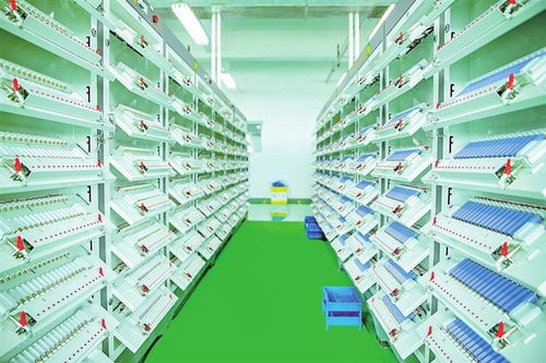 拓展新材料，點亮新能源 金昌市與金川集團攜手共筑產業發展新高地